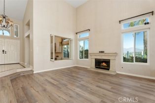 Single Family Residence, 25965 Cedarbluff Terrace, Laguna Hills, CA 92653 - 9