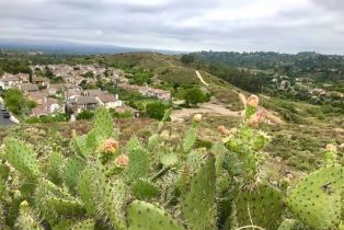 Single Family Residence, 2862 Carner dr, Tustin, CA 92782 - 24