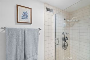 Condominium, 250 Avenida Lobeiro, San Clemente, CA 92672 - 20