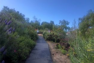 Single Family Residence, 499 Nyes pl, Laguna Beach, CA 92651 - 60