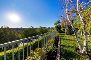 Single Family Residence, 16 Alicante, Coto De Caza, CA 92679 - 27
