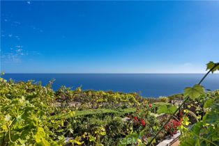 Single Family Residence, 20 Le Conte, Laguna Niguel, CA 92677 - 12