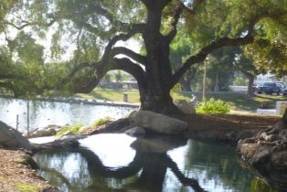 Single Family Residence, 16801 Buena Vista ave, Orange, CA 92865 - 39