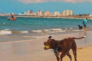 , 5267 Ocean blvd, Long Beach, CA 90803 - 32