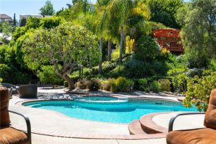 Residential Lease, 25911 Rich Springs CIR, Laguna Hills, CA  Laguna Hills, CA 92653