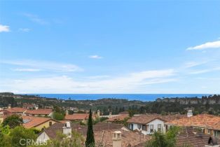 Single Family Residence, 15 Renata, Newport Coast, CA 92657 - 24