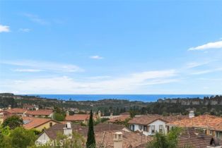 Single Family Residence, 15 Renata, Newport Coast, CA 92657 - 8