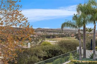 Single Family Residence, 12 Quail pl, Coto De Caza, CA 92679 - 48