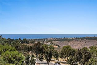 Single Family Residence, 2438 Calle Aquamarina, San Clemente, CA 92673 - 2