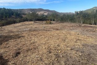 , 42800 Calle Capistrano, Temecula, CA 92590 - 12