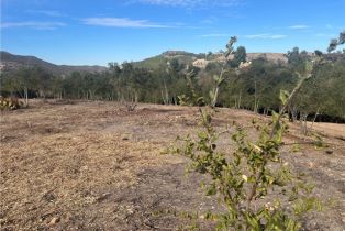 , 42800 Calle Capistrano, Temecula, CA 92590 - 13