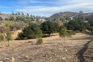 , 42800 Calle Capistrano, Temecula, CA 92590 - 14