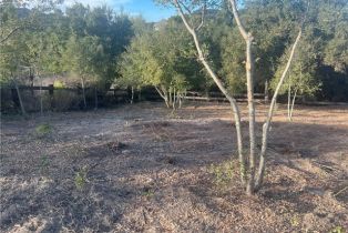 , 42800 Calle Capistrano, Temecula, CA 92590 - 17