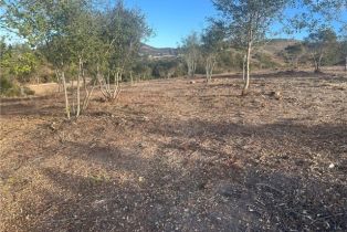 , 42800 Calle Capistrano, Temecula, CA 92590 - 18