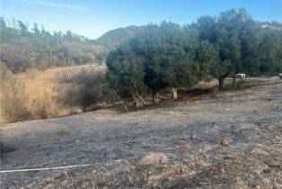 , 42800 Calle Capistrano, Temecula, CA 92590 - 19