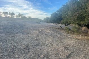 , 42800 Calle Capistrano, Temecula, CA 92590 - 22