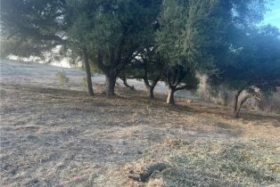 , 42800 Calle Capistrano, Temecula, CA 92590 - 23