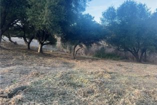 , 42800 Calle Capistrano, Temecula, CA 92590 - 24