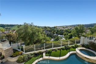 Single Family Residence, 6 Phaedra, Laguna Niguel, CA 92677 - 45