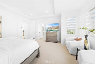 Single Family Residence, 137 Statura, Irvine, CA 92602 - 24