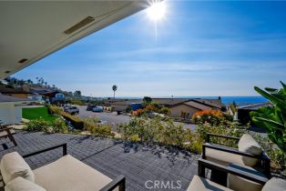 Single Family Residence, 1805 Arriba Linda, San Clemente, CA 92672 - 8