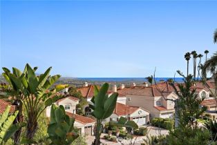 Single Family Residence, 30382 La Vue, Laguna Niguel, CA 92677 - 35