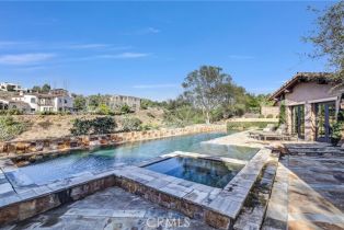 Single Family Residence, 41 Needle Grass, Irvine, CA 92603 - 49