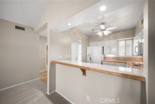 Condominium, 25432 Sea Bluffs dr, Dana Point, CA 92629 - 9