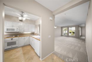 Condominium, 25432 Sea Bluffs DR, Dana Point, CA  Dana Point, CA 92629