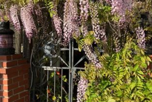 Single Family Residence, 476 62nd st, Newport Beach, CA 92663 - 4