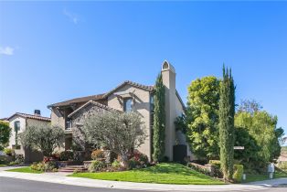 Single Family Residence, 1 Running Brook dr, Coto De Caza, CA 92679 - 53