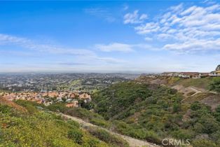 Single Family Residence, 31002 Flying Cloud dr, Laguna Niguel, CA 92677 - 31