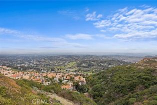 Single Family Residence, 31002 Flying Cloud dr, Laguna Niguel, CA 92677 - 33