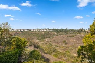 Condominium, 5 Monterey Pine dr, Newport Coast, CA 92657 - 22