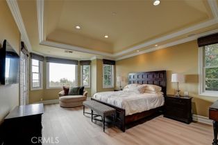 Single Family Residence, 4 Alta Hills way, Laguna Niguel, CA 92677 - 15