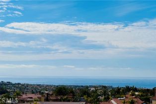 Single Family Residence, 4 Alta Hills way, Laguna Niguel, CA 92677 - 3