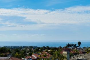 Single Family Residence, 4 Alta Hills way, Laguna Niguel, CA 92677 - 43