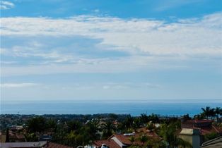 Single Family Residence, 4 Alta Hills way, Laguna Niguel, CA 92677 - 44