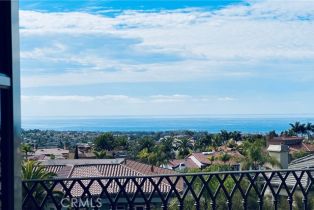 Single Family Residence, 4 Alta Hills way, Laguna Niguel, CA 92677 - 45