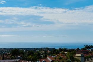 Single Family Residence, 4 Alta Hills way, Laguna Niguel, CA 92677 - 49