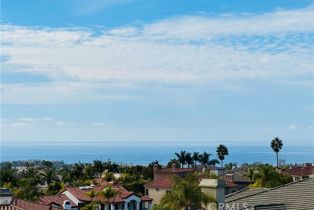 Single Family Residence, 4 Alta Hills way, Laguna Niguel, CA 92677 - 51