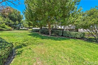 Condominium, 34 Monarch Beach Resort, Dana Point, CA 92629 - 52