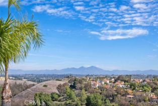 Single Family Residence, 28622 Point Loma, Laguna Niguel, CA 92677 - 30