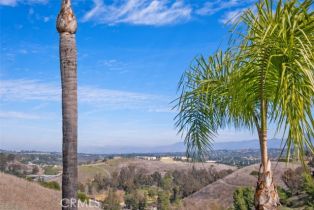 Single Family Residence, 28622 Point Loma, Laguna Niguel, CA 92677 - 31