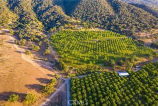 Single Family Residence, 4000 Via Rancheros rd, Santa Ynez, CA 93460 - 33