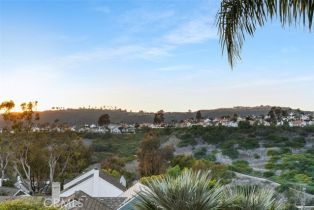 Single Family Residence, 3 Parkman rd, Laguna Niguel, CA 92677 - 24
