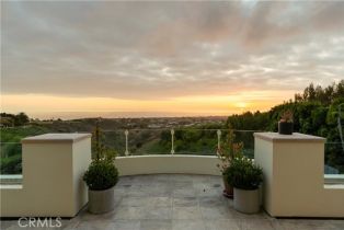 Single Family Residence, 7 Rim Ridge, Newport Coast, CA 92657 - 8