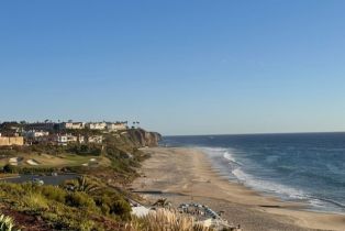 Single Family Residence, 183 Monarch Bay dr, Dana Point, CA 92629 - 46