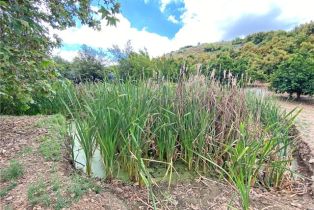 Single Family Residence, 43218 Sandia Creek dr, Temecula, CA 92590 - 26
