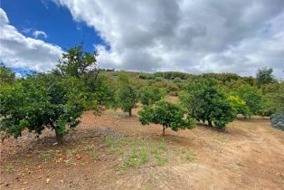 Single Family Residence, 43218 Sandia Creek dr, Temecula, CA 92590 - 27